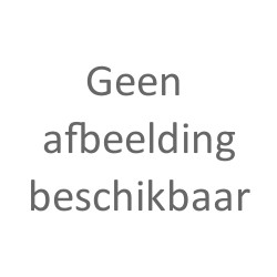 Het Bijbelfonds